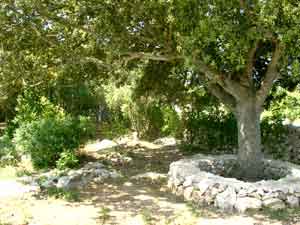 Agroturismo binissafullet